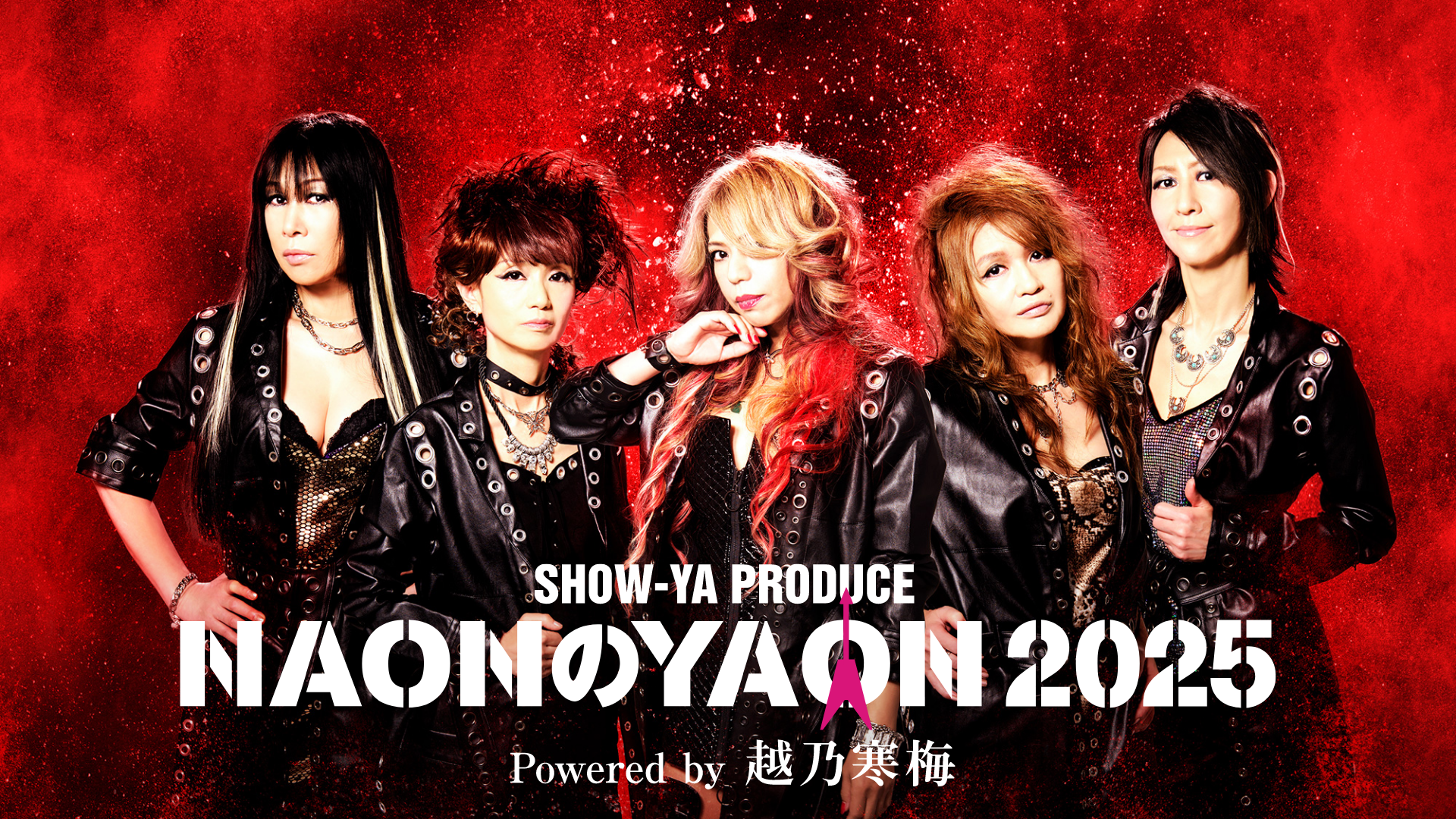 NAONのYAON 2008.4.29 日比谷野外音楽堂の通販 by COTD's Shop